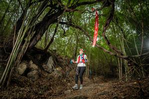 BIB: 
                            <button type="button" onclick="openModal(22178753)" class="btn btn-primary btn-sm float-right btn-popup" data-toggle="modal" data-target=".modal-high-quality">
                        <i class="fas fa-shopping-cart"></i> Add to Cart
                    </button>
                                            <button type="button" onclick="isThisMe(22178753, true)" class="btn btn-success btn-sm float-right btn-popup btn-isme hidden" data-toggle="tooltip" data-placement="bottom" title="นี่คือรูปของคุณใช่ไหม คลิกที่นี่เพื่อเอาเข้าอัลบั้ม">
                        <i class="fas fa-plus"></i> Add to album
                    </button>
                    <button type="button" onclick="isThisMe(22178753, false)" class="btn btn-warning btn-sm float-right btn-popup btn-isnotme hidden">
                        <i class="fas fa-ban"></i> Remove from album
                    </button>